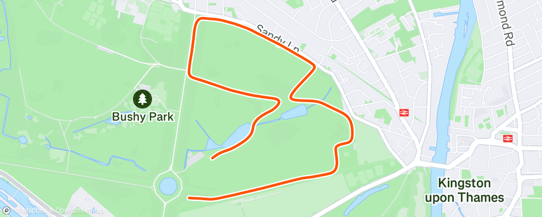 Mapa da atividade, Bushy parkrun