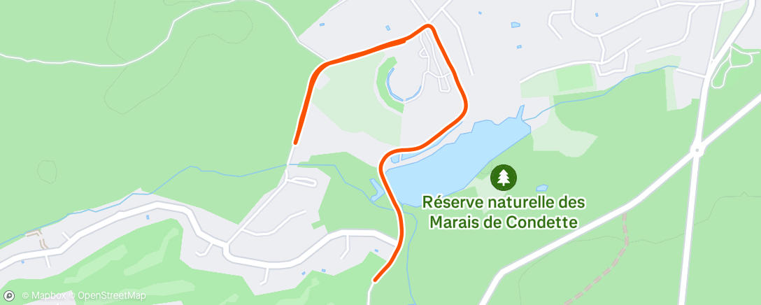 Карта физической активности (Course à pied le midi)