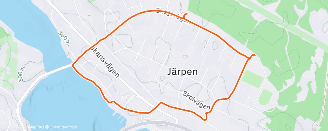 Карта физической активности (Evening Walk)