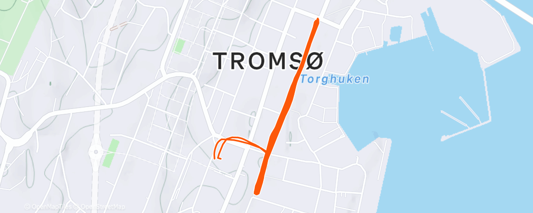 Map of the activity, Morning Run