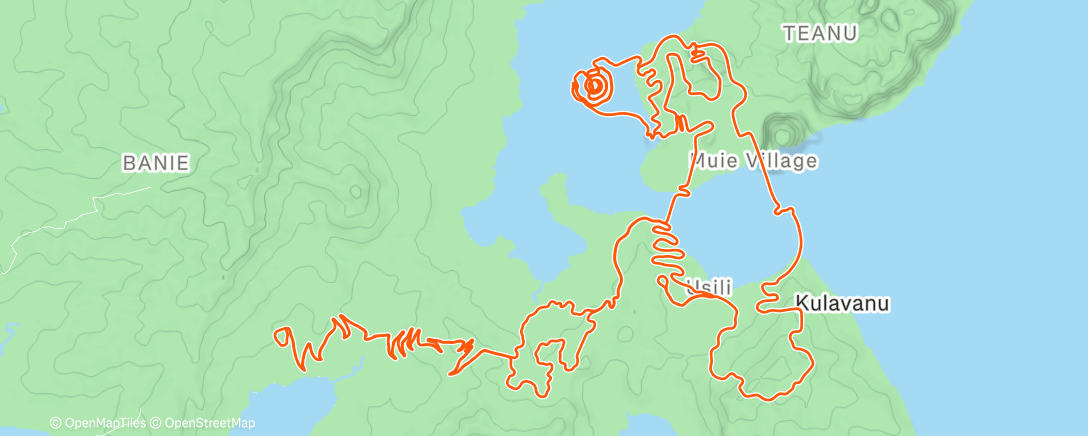 Map of the activity, Zwift - Four Horsemen in Watopia