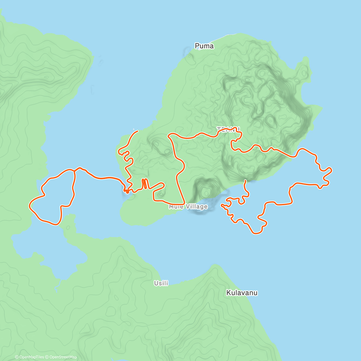 Карта физической активности (Zwift - Watts of the Wild in Watopia)