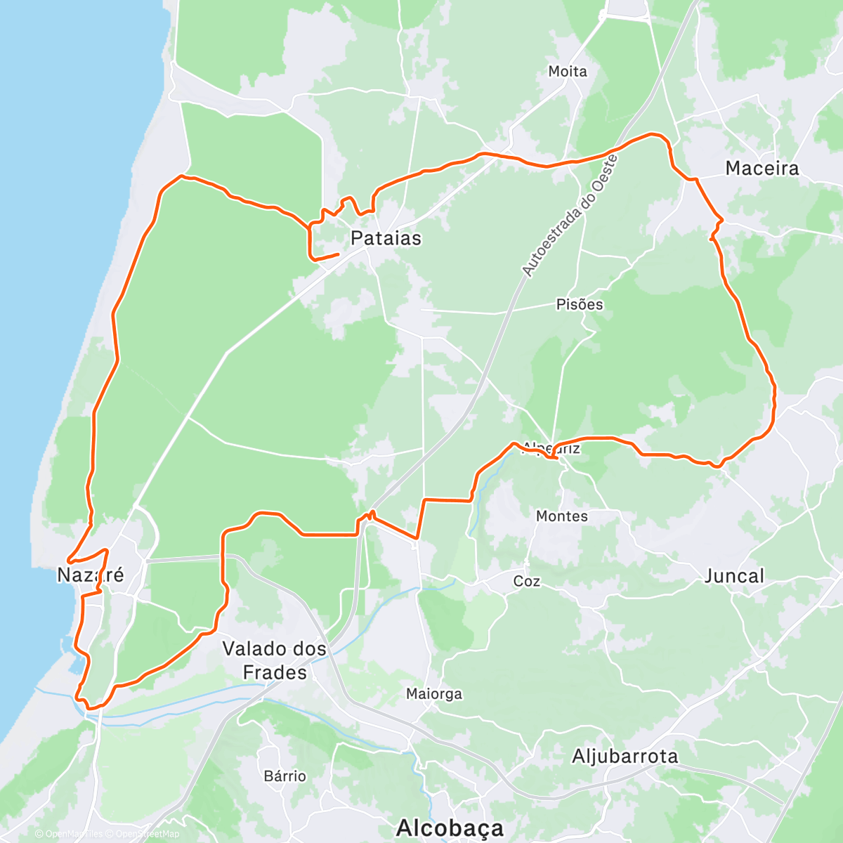 Map of the activity, Últimos cartuchos