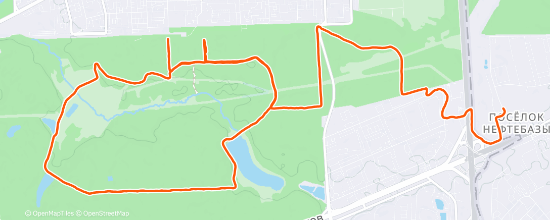 Map of the activity, Утренний забег