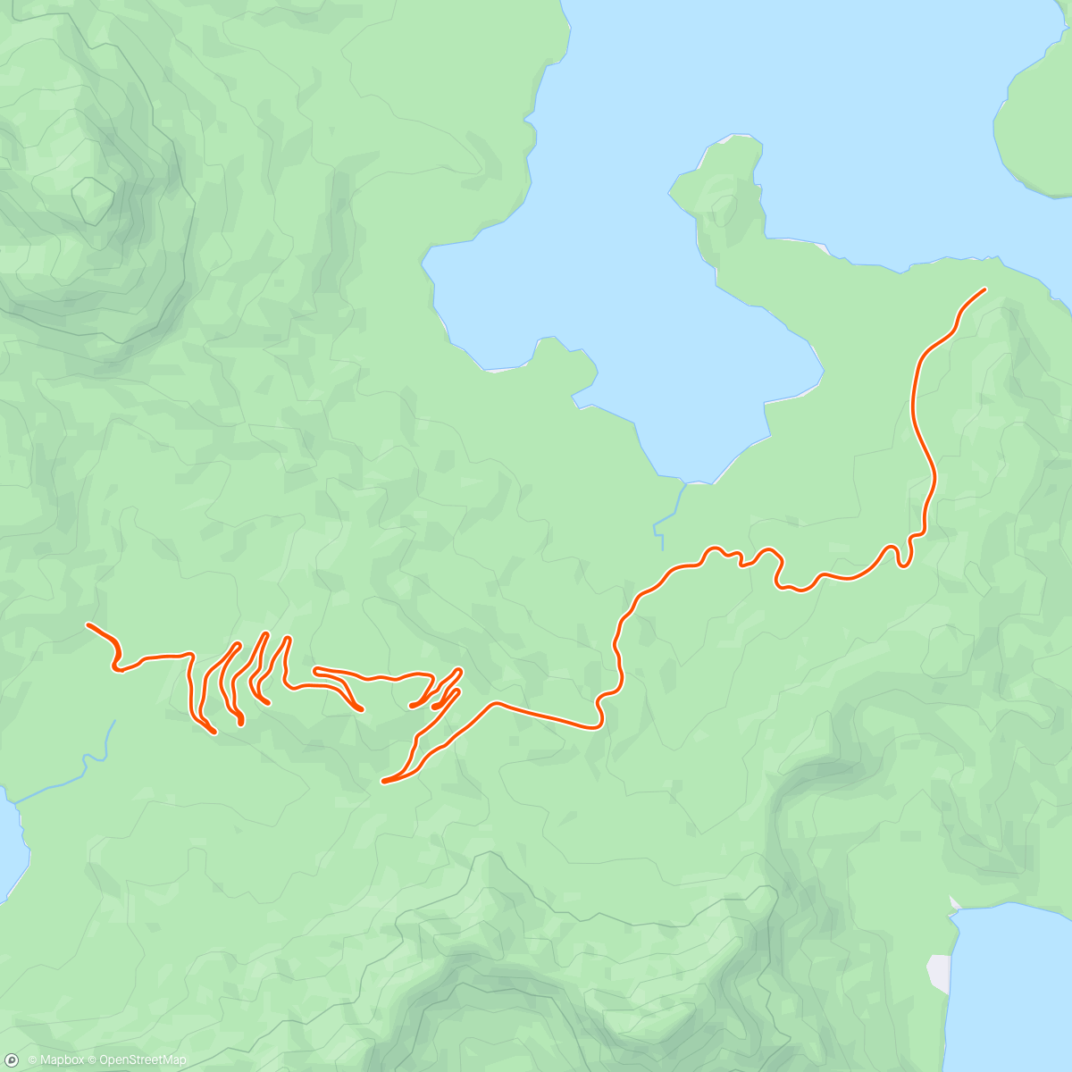 Карта физической активности (Zwift - Road to Sky in Watopia)