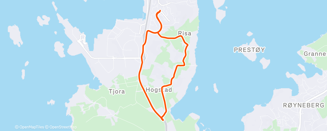 Карта физической активности (Pre styrke 🏋️‍♂️)