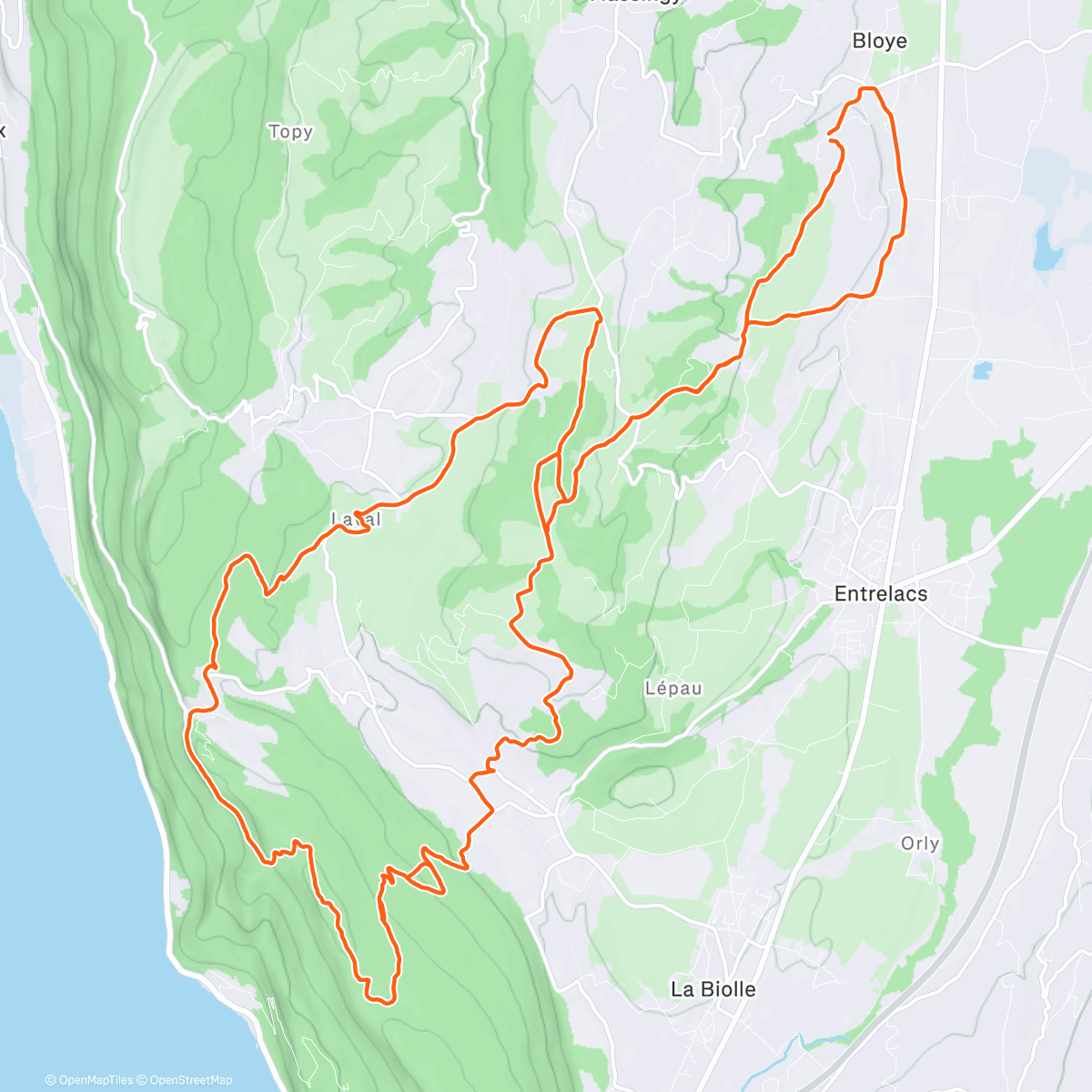 Карта физической активности (XC)