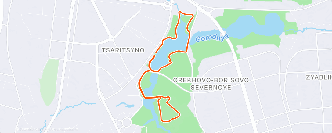Map of the activity, Утренний забег
