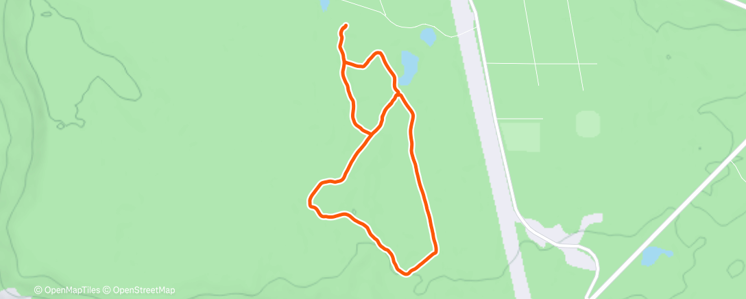 Карта физической активности (Lunch Nordic Ski)