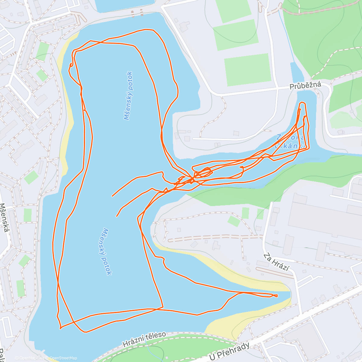 Карта физической активности (Bruslení!!!⛸️)