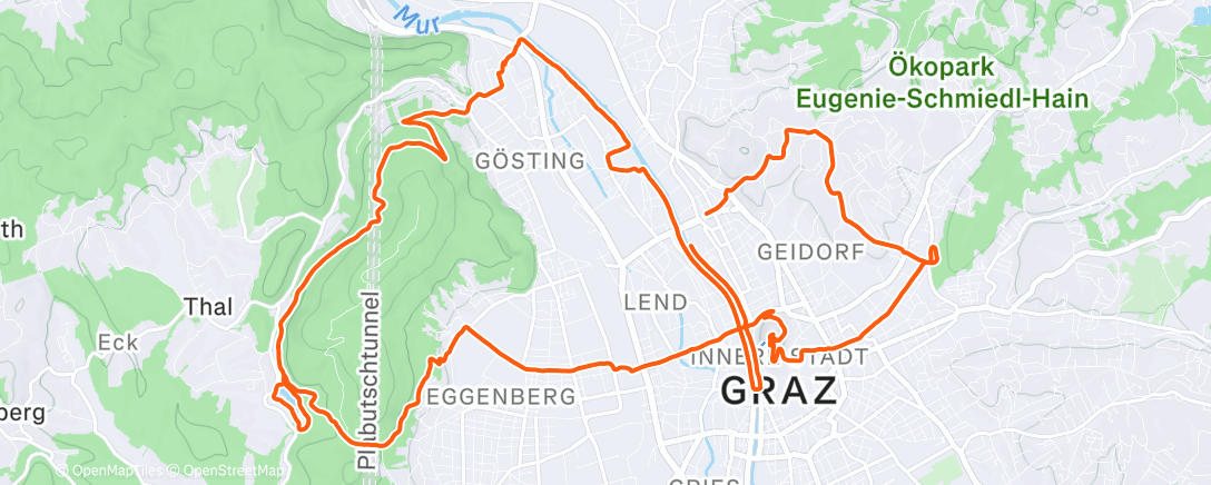 Map of the activity, runninGraz Long Run