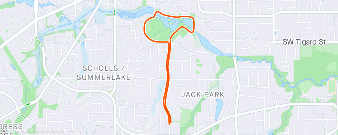 Map of the activity, Post Surgery Walk #4