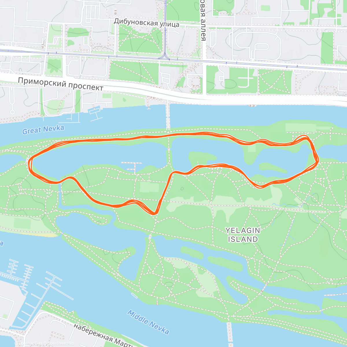 Карта физической активности (Новогодняя сказка)