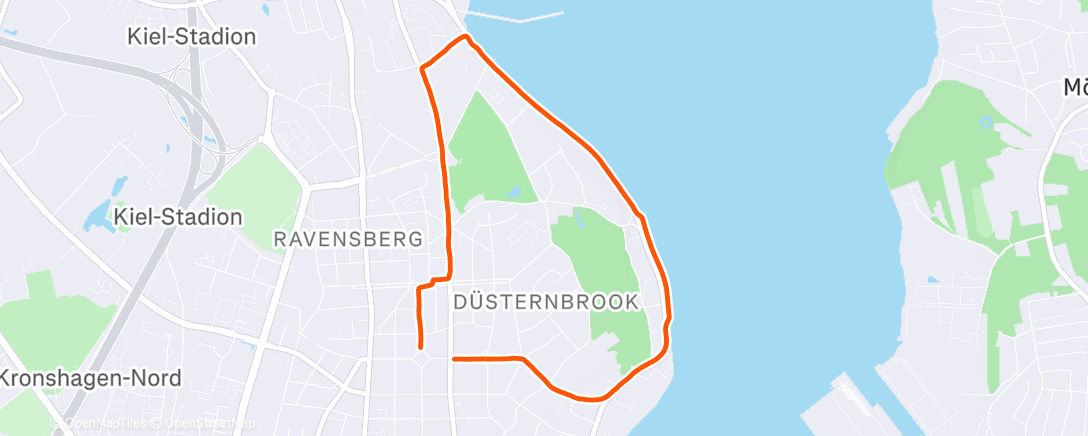 Карта физической активности (Lauf am Morgen)