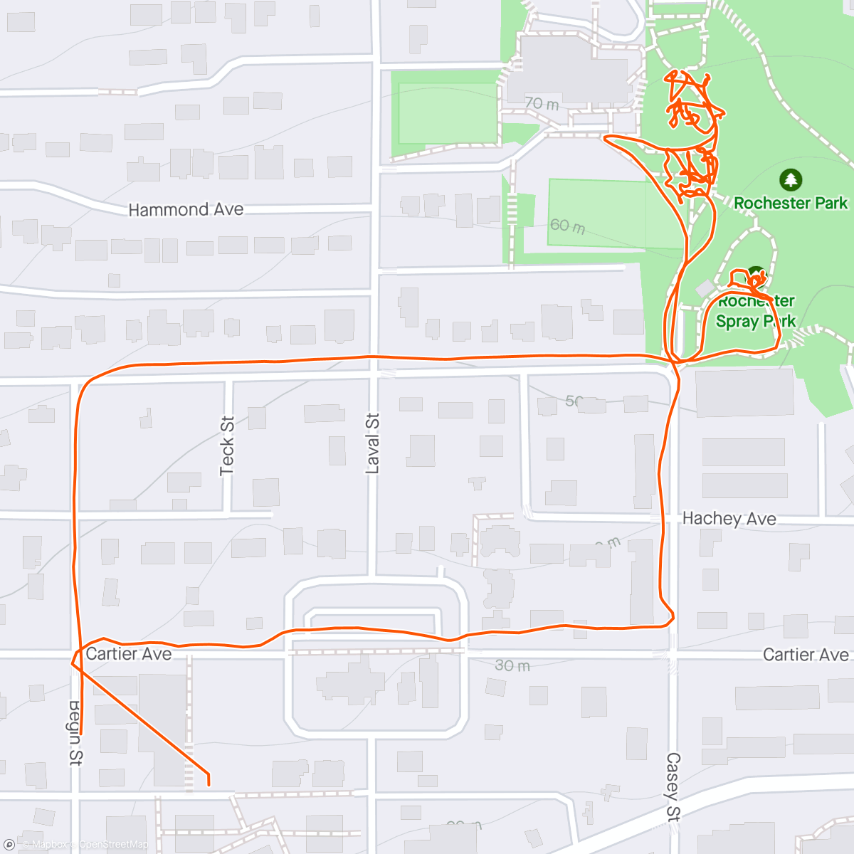 Map of the activity, Rochester Park