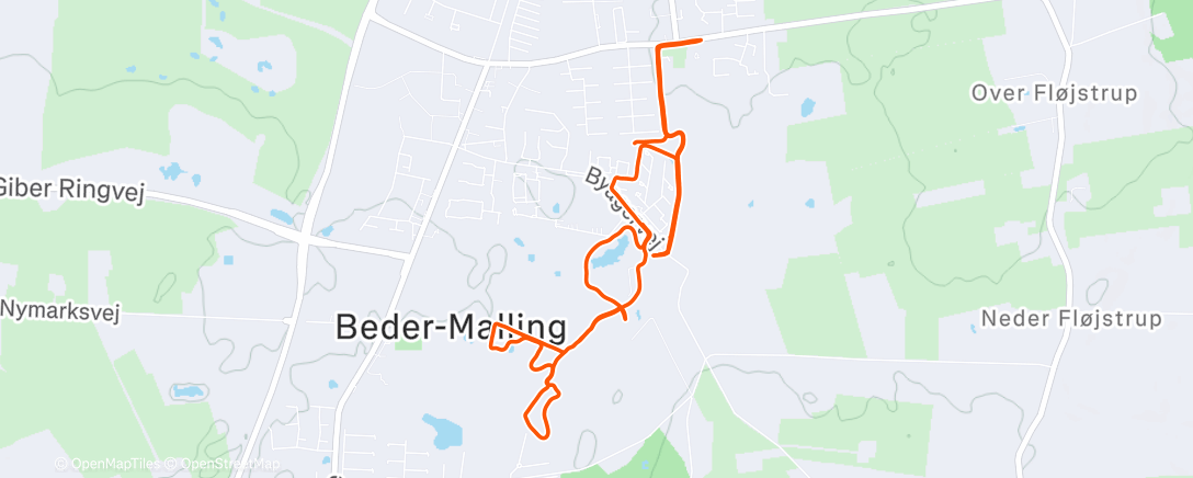 Map of the activity, Morning Run