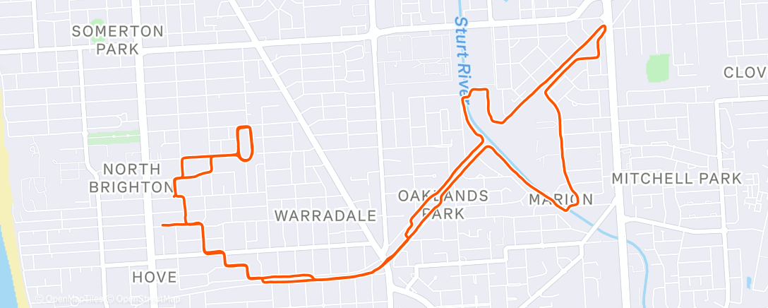 Карта физической активности (Morning Run)