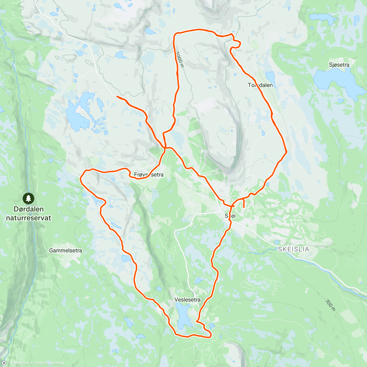 Map of the activity, Grunnmursærbe dag 2