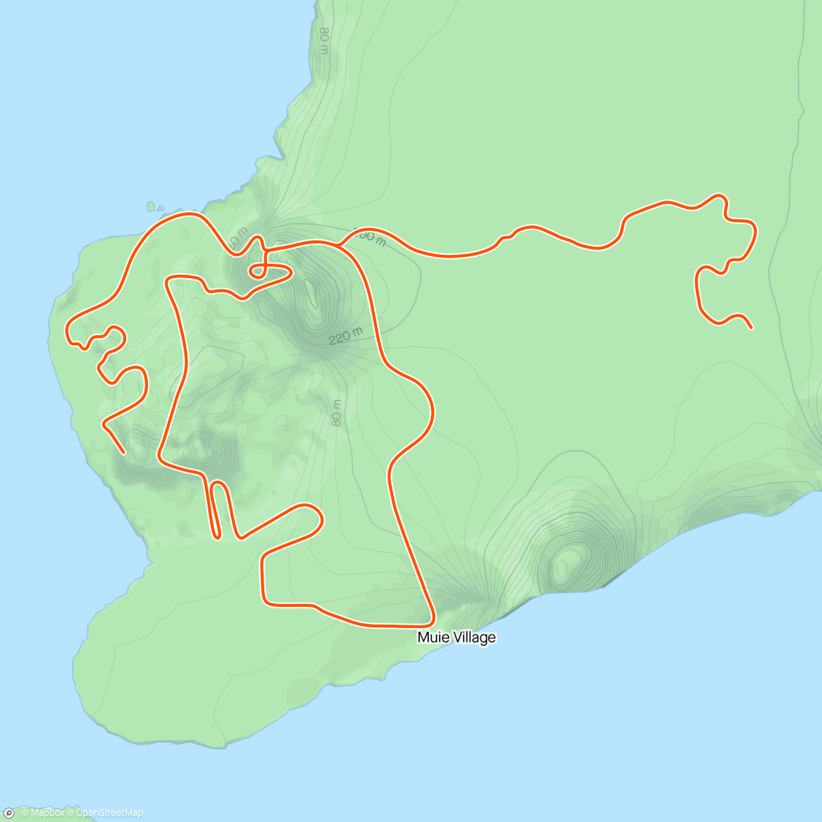 アクティビティ「Zwift - Pacer Group Ride: Flat Route in Watopia with Bernie」の地図