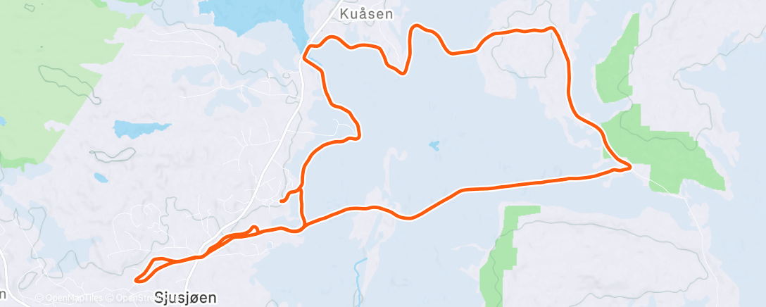 Карта физической активности (Morning Nordic Ski)