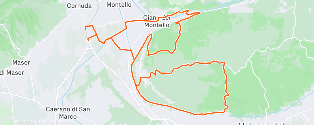 Карта физической активности (Last of 2k25)