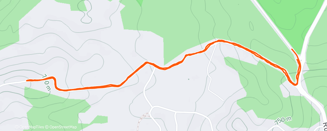 Карта физической активности (Corrida matinal)