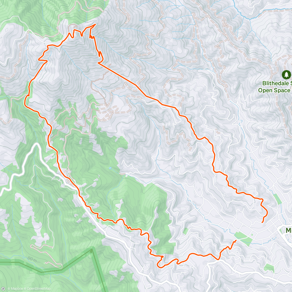 Map of the activity, One last top of TAM