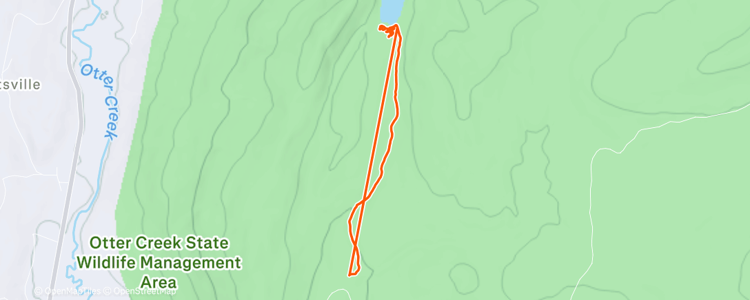 Map of the activity, Afternoon Walk