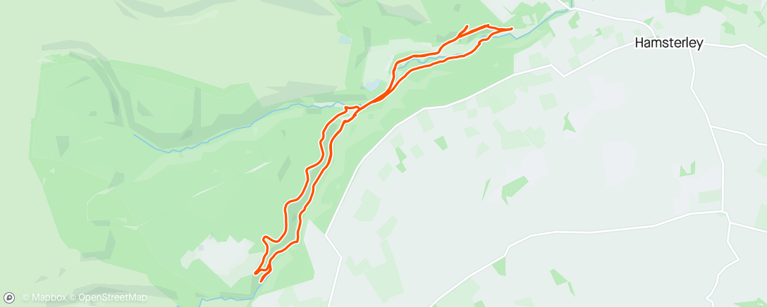Map of the activity, Continuously getting lost in Hamsterley Forest.