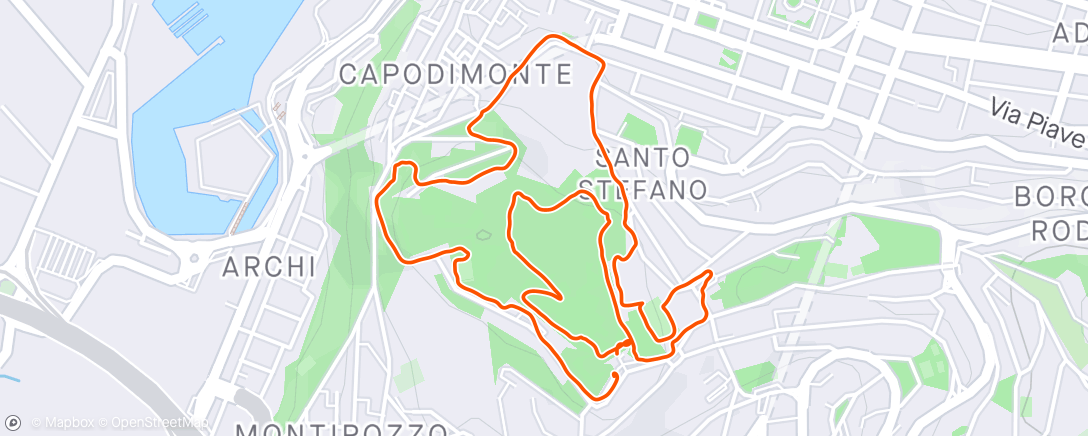 アクティビティ「Corsa a sprazzi intorno alla Cittadella」の地図