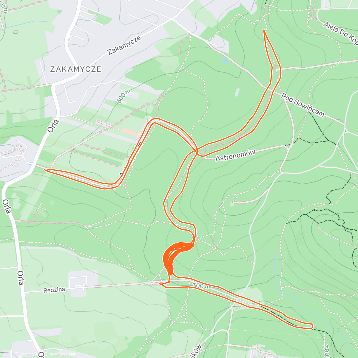 Карта физической активности (Afternoon Trail Run)