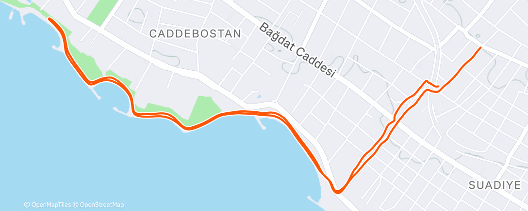 Карта физической активности (Morning Run)