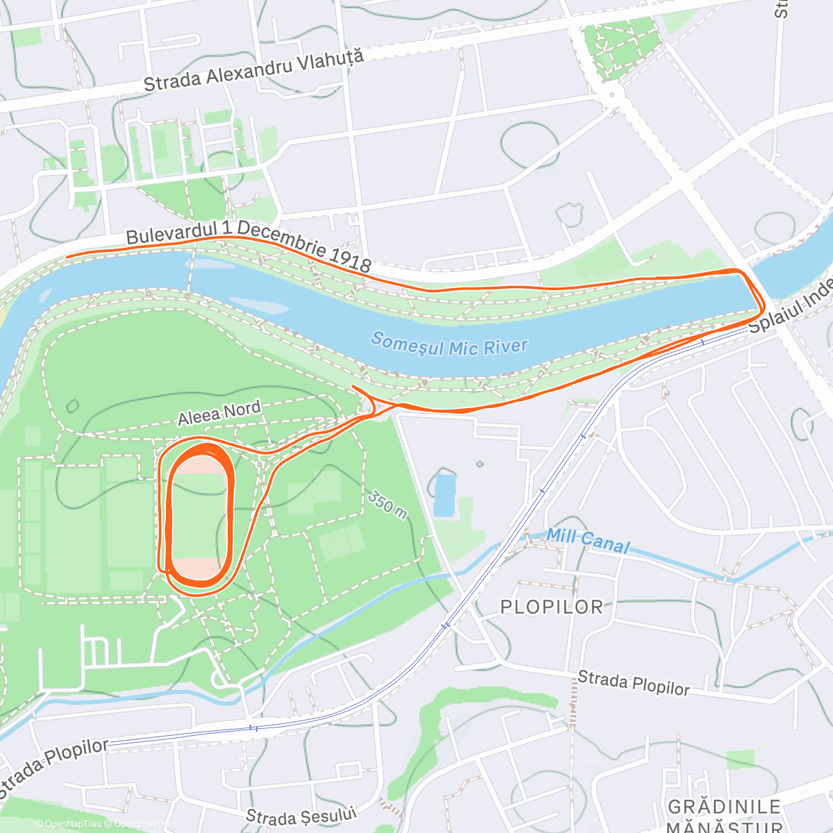 Карта физической активности (Tempo Run)