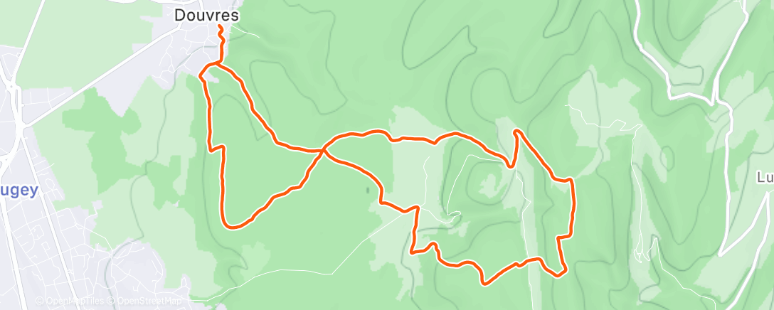 Map of the activity, Forêt 🌳🤍