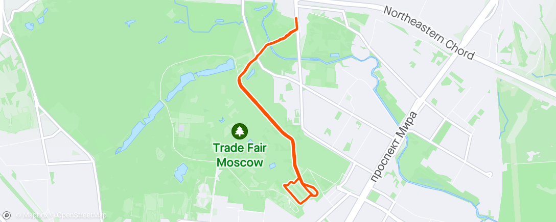 Map of the activity, 11km Easy Run with Runna ✅