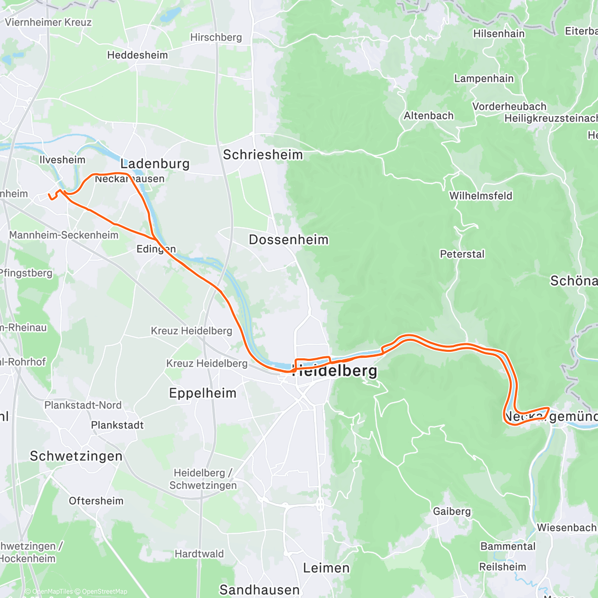 Map of the activity, Neckargemünd
