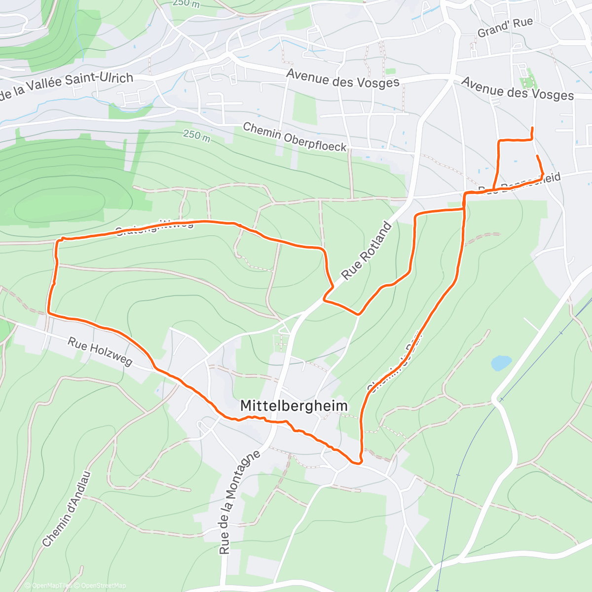 Map of the activity, Marche dans l'après-midi
