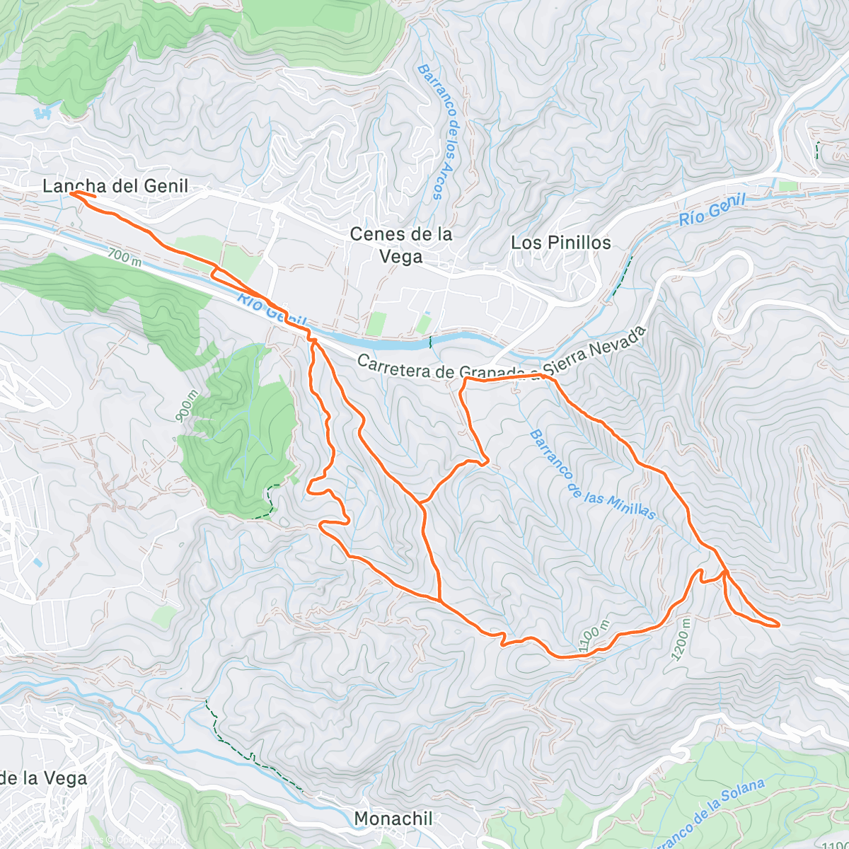 Карта физической активности (Acompañando a Susi 🫶🏻)