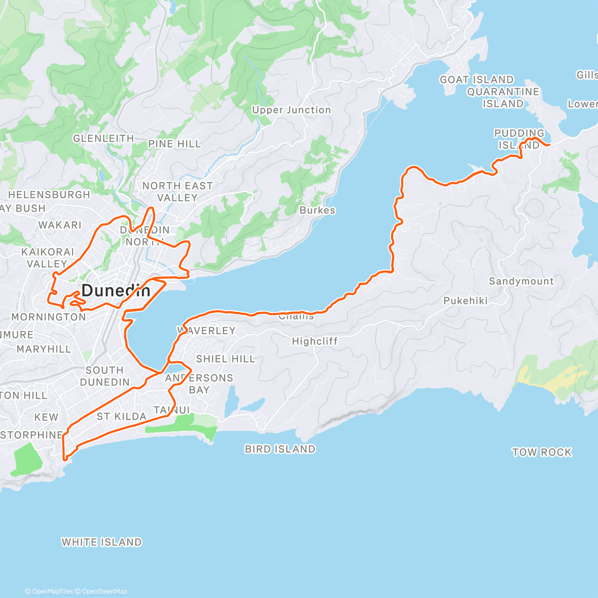 Карта физической активности (I like how the Strava map picks out Pudding Island as a key landmark)