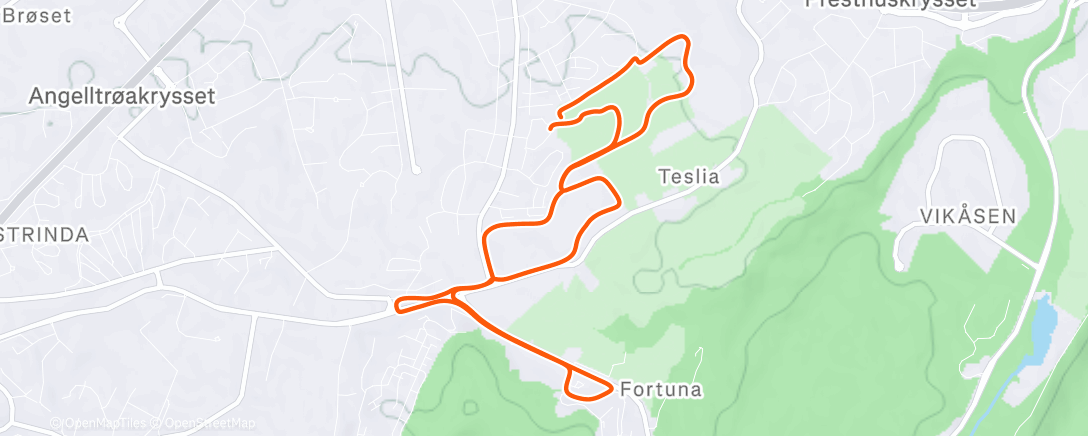 Map of the activity, Afternoon Run
