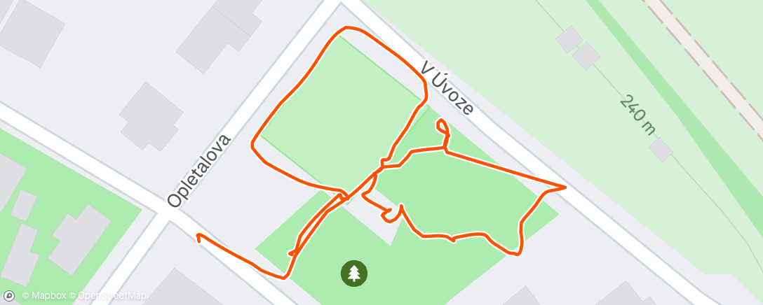 Map of the activity, Morning Run