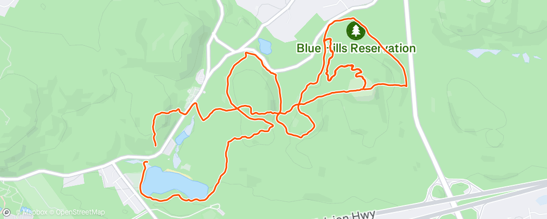 Map of the activity, Morning Trail Run