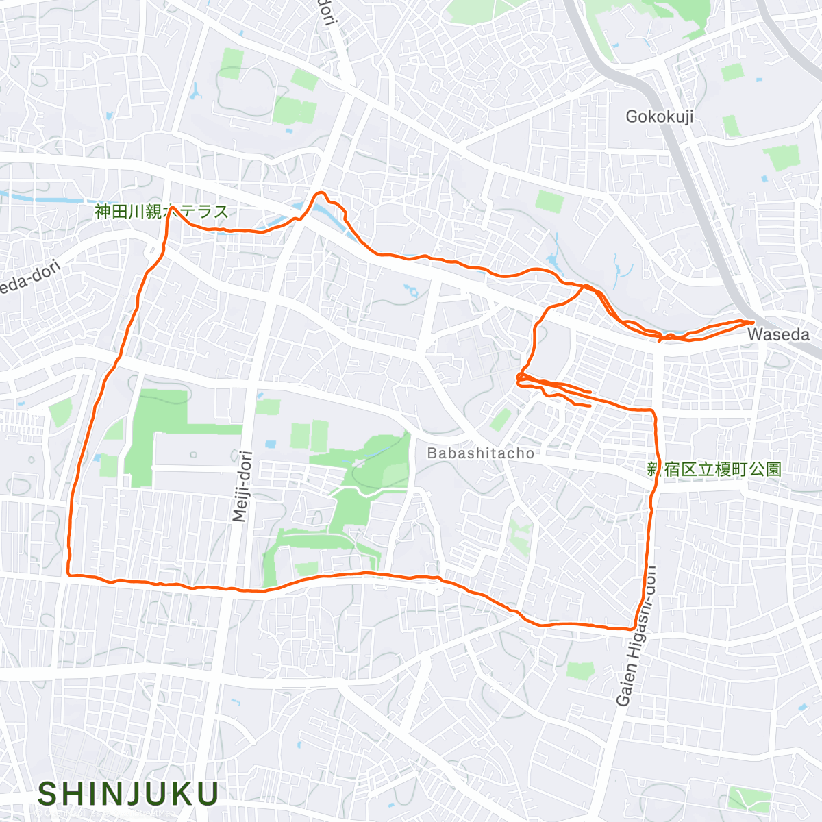 Карта физической активности (Morning Run)