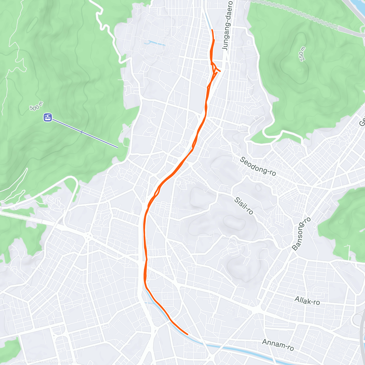 Map of the activity, Morning Run