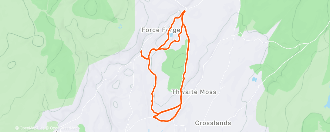 Карта физической активности (Lunch Run)