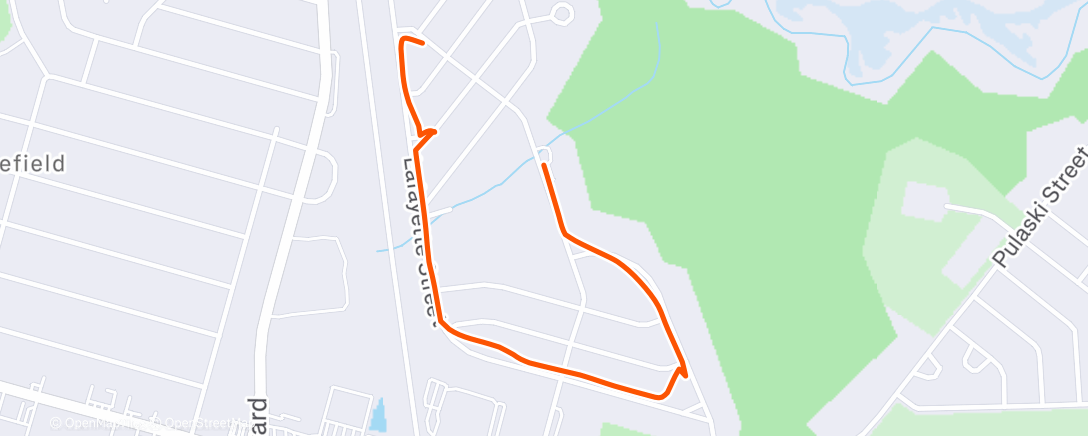 Карта физической активности (Afternoon Walk)