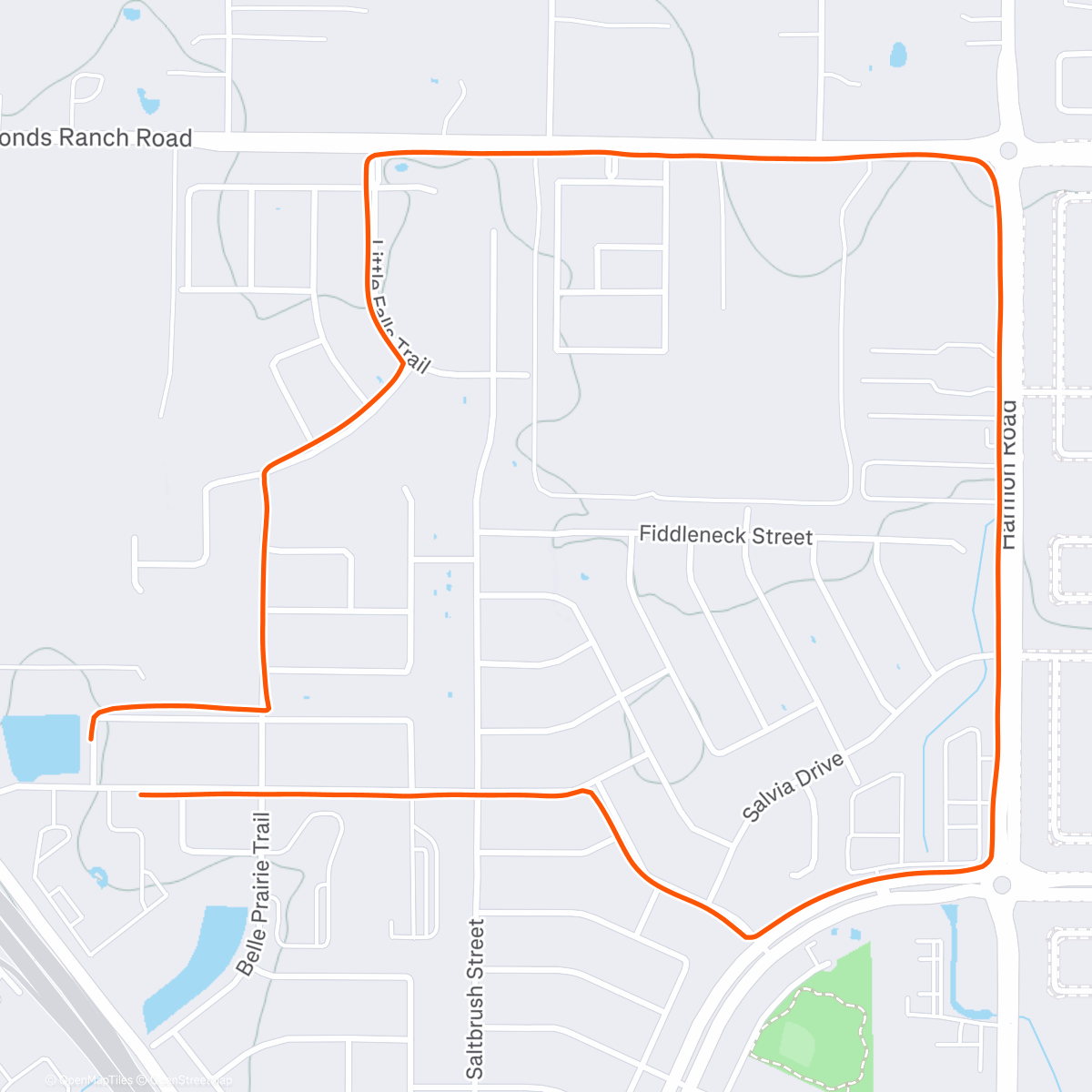 Map of the activity, Texas Tempo Trot