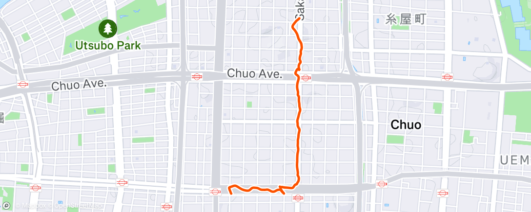Map of the activity, Дневная прогулка