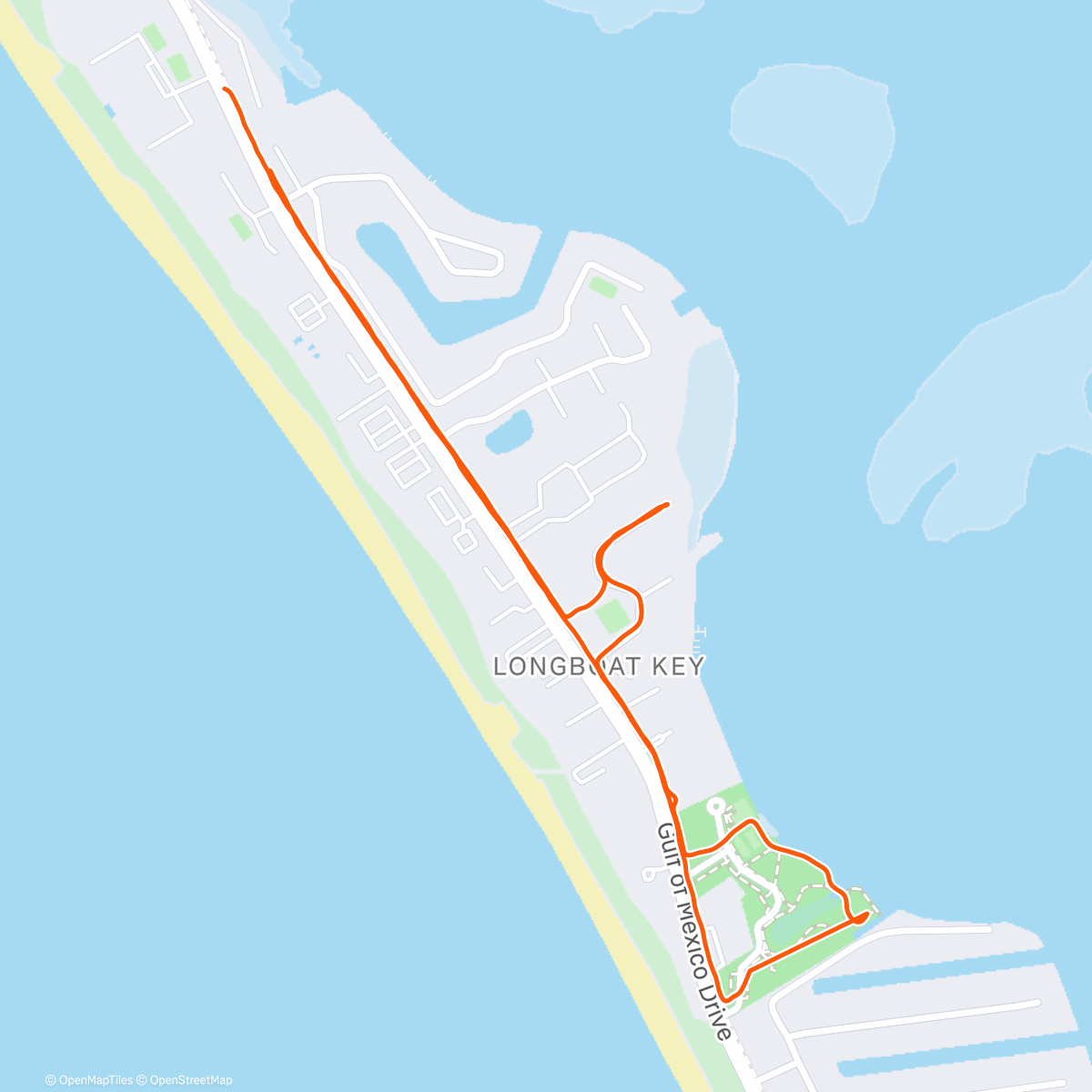 Карта физической активности (New Year Same Me)