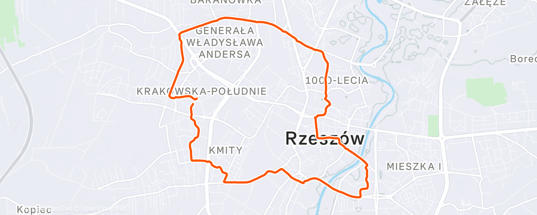 Карта физической активности (Afternoon Walk)